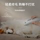 Laiwang brothers pet shaver dog shaving and shearing machine powerful non-stuck electric pet clipper PC-902 white