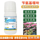 Senhuozhi multi-part benzylaminopurine cytokinin garden nursery flower flowering and germination bursting growth regulator