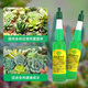 Devodo succulent special plant nutrient solution 6 bottles/pack gardening green plant flower fertilizer planting color rooting organic foliar fertilizer