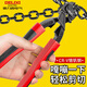 DELIXI ELECTRIC Bolt Cutting Pliers Steel Bar Cutting Pliers Labor-saving Powerful Cutting of Iron Wire Special Small Scissor Pliers 8-inch Labor-saving Anti-slip Model