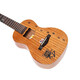 Uku ukulele kleine gitarre erwachsene girl uklili anfänger fener children miow c-meow c-meow c 23 Zoll Vorstand