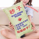 美克杰创意仿真抱枕个性水泥枕头沙发靠垫毛绒玩具礼物搞笑生日礼 水泥 大号50*34厘米(配小鸡腿)
