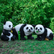 Yi Mingyuan outdoor large cartoon panda ornaments simulation animal park community sculpture landscape kindergarten floor decoration combination three