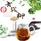 Jiangxi Xiushui wildes Pflanzen und wachsende grüne Geldweide Tee High Mountain Originalgeschmack Deep Mountain Selbstverpackte alte Baumblätter Gesundheit Tee Qingqian Liuyuan Blätter 250g