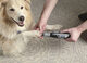 DREMEL DREMEL Pet Electric Nail Grinder Portable Rechargeable Dog Nail Trimmer Tool