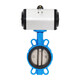 Lu Yueting D671X-16Q Pneumática flexible flexible válvula de mariposa de mariposa blanda sellada válvula de agua de acero inoxidable de acero inoxidable DN50 100 DN100 (placa de tinta del cuerpo cubierta de goma)