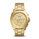 化石（Fossil）Privaeer Spr男表计时手表金色华丽不锈钢手表45mm BQ2694 os