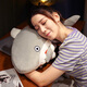 Hanhan Pig Funny Doll Plush Toy Doll Pillow Sergal Rag Doll Large Birthday Gift for Boys and Girls 40cm Sergal