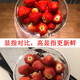 XMSJLED聚光灯杯COB射灯灯泡螺口调焦火锅店餐厅2700K高显色光源par20 8W2500K高显Ra9738