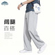 Dingfengbaoluo casual pants men's autumn trendy straight wide-leg loose fashion versatile sportswear long pants 206 gray M