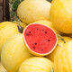 Dayu's yellow skin and red flesh watermelon seeds seedlings extra large watermelon yellow heart and yellow flesh extra sweet early maturing fruit seeds suitable for the south Jinlinglong watermelon seeds 100 capsules/bag (red flesh)