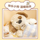 名创优品（MINISO）吉梨尼尼乖乖坐姿公仔毛绒玩具玩偶娃娃抱枕小狗娃娃生日礼物女