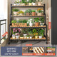 Jungle modern simple flower rack floor-standing balcony wrought iron art living room home decorative flower rack bonsai rack 120cm four-layer black