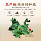 
Jinqi [Sanqi Powder] Jinqi brand full-plant fresh Sanqi essence powder ultrafine powder solid drinks to give parents a good health gift 1 box