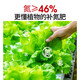 Basemanwei Urea Nitrogen Fertilizer Flowers, Vegetables and Fruit Trees Potted Planting Cauliflower Household Potted General Fertilizer Chemical Fertilizer Compound Fertilizer Urea (Nitrogen Fertilizer) 10Jin Jin is equal to 0.5 kg