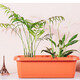 Bloomlife Long Flower Pot 550 Brick Red 30L Vegetable Pot 17081