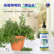 Tang Benchen Green Qingsheng Root Liquid Hydroponic Plant Special Nutrient Solution to Promote Growth, Rooting and Strengthening Seedlings Potassium Fulvic Acid Fertilizer 1 bottle