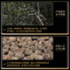 Té zuiranxiang, xinhui xiaoqinggan té auténtico de cuero seco crudo Pu'er Pu'er Tea Regalo de té 280G