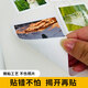 Kodak柯达相册覆膜自粘式14寸diy手工制作宝宝成长家庭影集相册本开学军训学校时光纪念册9891-154浅蓝