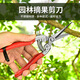 JPHZNB Farmer's Helper Fruit Picking Scissors Fruit Thinning Scissors Grape Flower Thinning Scissors Pruning Pruning Scissors Citrus Pepper Special Fruit Picking Scissors Straight Head Dip Plastic Scissors