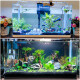 SUNSUN fish tank, small aquarium, hot-bent ultra-white glass ecological goldfish tank, desk, aquatic plant tank, 60cm long hot-bent ultra-white naked tank