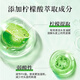 KAO (KAO) Set de champú importado 750ml*2 Frefy fragancia y fragancia suave de aceite