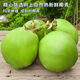 Ganguo has an appointment with Hainan coconut, green coconut, fresh coconut with skin, green coconut, tender coconut, amniotic fluid replenishing fruit for pregnant women, 6 tender coconuts with skin - recommended for pregnant women