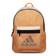 Adidas Neue Herrenbeutel und Damensäcke, Sportsäcke der Paare, lässige Rucksäcke, Schulbags der Schüler, GN9853 Misc