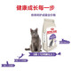 ROYAL CANIN Royal Cat Food SA37 Neuter and Care Adult Cat Food 2kg Neuter and Care Adult Cat Food 2kg