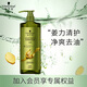 施华蔻（Schwarzkopf）生姜精华洗发露980ml  持久控油清爽蓬松洗发水 无硅油洗头膏
