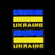 Punisher Ukraine UKRAINE flag tactical Velcro armband military fan morale badge outdoor backpack sticker helmet badge khaki luminous