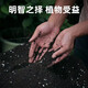 Huameinuo Nutrient Soil is a special universal vegetable potting soil for flower cultivation. Planting soil, flower soil, succulent soil fertilizer, household genuine formula nutrient soil 10Jin Jin is equal to 0.5kg (nourishes roots and promotes flowers)