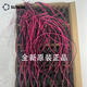 直流风机大风量5CM 5010 5015悬磁浮12V低音24V变频器散热风扇 5010高速MF50100V1-1000C-A99