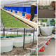法欧诺牛筋大水桶塑料桶加厚大容量家用带盖圆桶储水桶酿酒发酵桶叉车桶 500牛筋圆桶1030*850*825白色