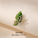 Qlady butterfly brooch, high-end women's corsage design, niche design, temperament, anti-exposure pin, accessories gift