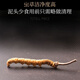 Ivanmai Authentic Cordyceps Cordyceps Cordyceps Cordyceps non-cut grass tube-installed with extra large root gift box Yivanmai Two bottles of 10 pieces are given one bottle up to 15 pieces