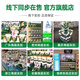 生命阳光纯牛初乳粉60袋免疫球蛋白粉儿童术后成人月子化疗老年营养新西兰 纯牛初乳半年装3罐180袋