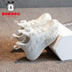 Zapatos para niños de Babudou Zapatos blancos para niños 2025 Autumn New Mesh Niñas transpirables zapatos casuales viejos zapatos deportivos de suela suave Pearl White 13547 (red doble) 33 Longitud interna 21.4 cm