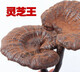 Yourentang Guangxi halbschwarzer Ganoderma lucidum 500G Guangxi 100.000 Berge beschnitten Ganoderma lucidum Red Ganoderma lucidum Gras enthält Sporenpulver g