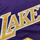 He Jiagong Kobe No. 24 commemorative purple jersey Lakers retro embroidered basketball uniform men's and women's sports and leisure vest S