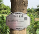 The province's excellent tree sign custom-made stainless steel metal green plant greening sign courtyard flowers and trees introduction adoption plug-in sign 10 stainless steel 10*12