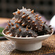 Guanshentang Dalian ready-to-eat sea cucumber 1Jin Jin is equal to 0.5kg 5-7 pieces Frozen sea cucumber seafood simple package more than 85% solid content