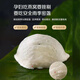燕窝干盏特级干燕窝密盏孕妇燕窝9A印尼马来西亚进口溯源天然燕窝 9A一级干挑密盏100g燕盏
