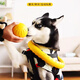 Gasco dog toy eva pull ring for medium and large dogs interactive ring golden fur edge shepherd molars and bite resistant dog boredom relief artifact