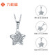 Liuguifu Jewelry PT950 Platinum Pendant Dream Star Language Platinum Necklace Pendant for Women PT0600027 1.35g