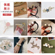 Enchanting Cat Weekly Hair Clip Hair Rope Hair Accessories Hair Clip Hair Accessories Female High-End 2025 New Ladies Birthday Gift Practical for Girls