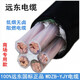 远东电缆FAR EAST CABLEWDZBN-YJY5芯101625平方低烟无卤阻燃B级 WDZBN-YJY3*95+2*5010米