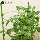 
Nine Thousand Valley Plant Climbing Brackets Steel Pipe Flower Pots Vines Flower Frame Rose Grape Fixed Raspberry Grape Fixed Rack 75cm4641