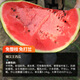 NONGZHIZI Sweet 4k watermelon seeds early maturing 4k potted plants 4k gifts God of War 2k watermelon seedlings seeds stone Lazy King watermelon seeds 50 capsules/bag