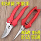 
Pruning scissors grape picking scissors garden fruit tree scissors thick branches flower scissors labor-saving branches flower scissors to prune flowers Boxing Xinnong H De14116 high-end straight scissors